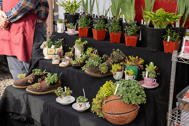 GardenPalooza event in Oregon - Plants in pots